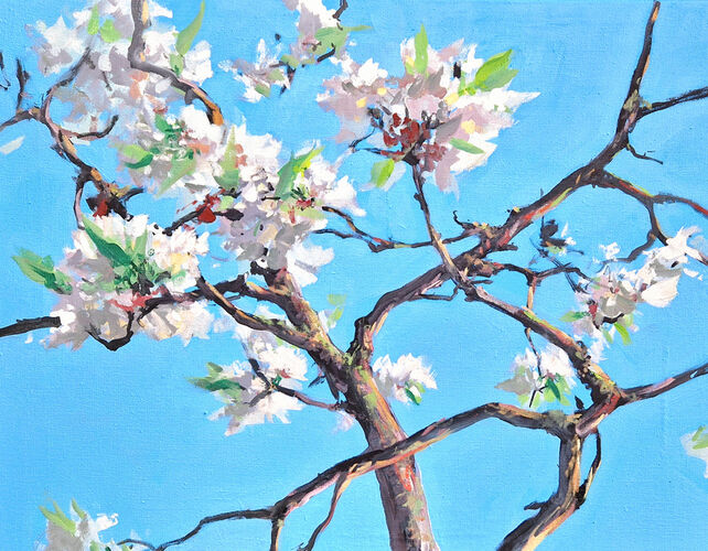 Kirschblüten, Gemälde Nr. 2277 / Öl auf Leinwand
