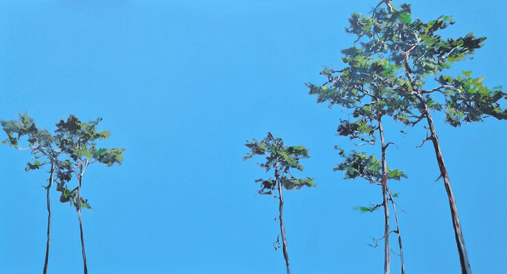 Kiefern, Gemälde Nr. 3506 / Acryl auf Leinwand