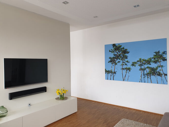 Kiefern 2183, in Wohnraum Franken / Acryl auf Leinwand
