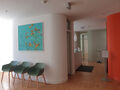 Habichtskraut, Gemälde Nr. 7471 Gyn. Praxis Berlin