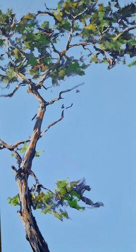 Kiefern, Werknr. 3475 / Acryl auf Leinwand