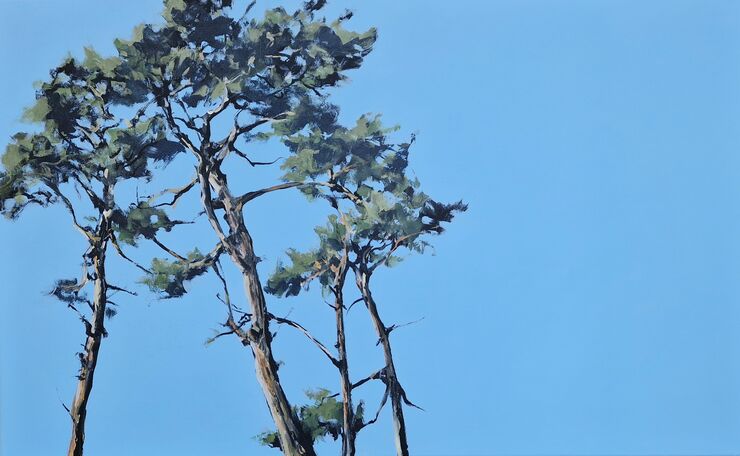Kiefern, Werknr. 3462 / Acryl auf Leinwand