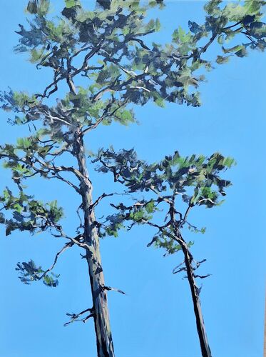 Kiefern, Werknr. 2261 / Acryl auf Leinwand