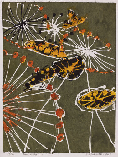 Flora incognita, Werknr. 1482 / Tusche auf Bütten