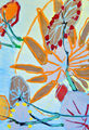 Flora incognita, Werknr. 3464