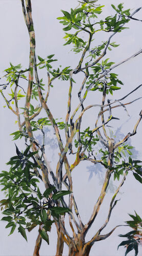 Aralie, Werknr. 7331 / Acryl auf Leinwand