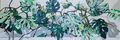 Monstera, Werknr. 3263