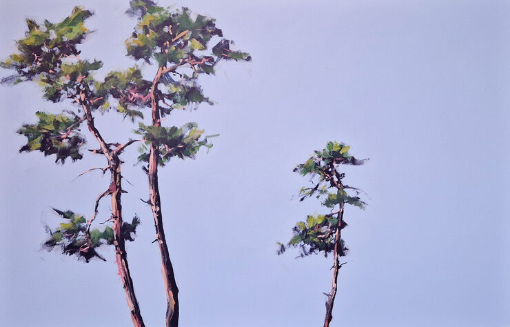 Kiefern, Werknr. 6711 / Acryl auf Leinwand