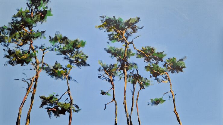 Kiefern, Gemälde 5903 / Acryl auf Leinwand