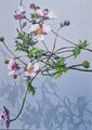 Anemonen, Werknr. 2470