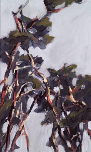 Kiefer, Gemälde 3587 / Acryl auf Baumwolle