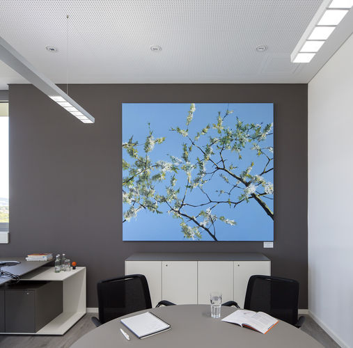 Kirschblüten 4029 Büro Firma Bayern / Acryl auf Leinwand